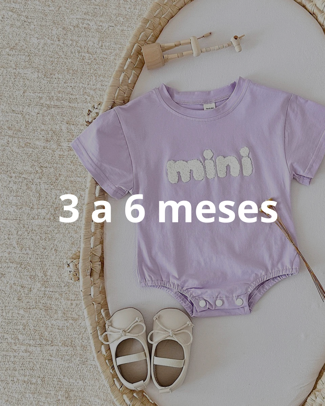 3/6m